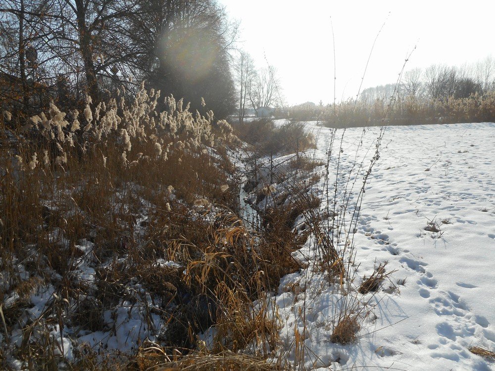 Tok Lipoltické svodnice