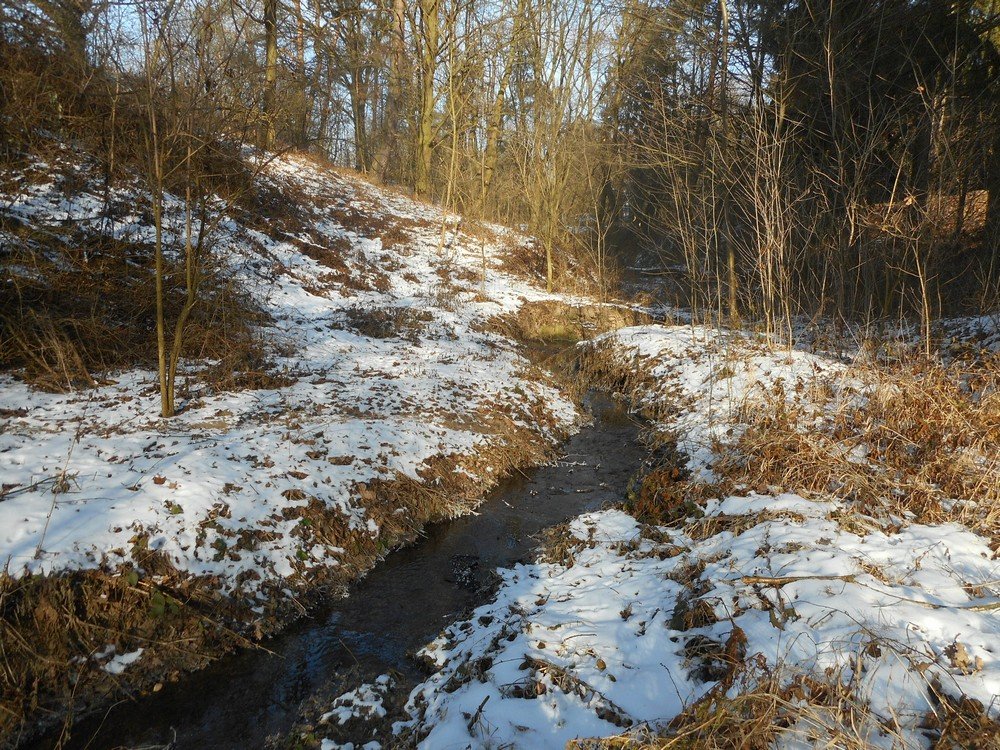 Tok Lipoltické svodnice