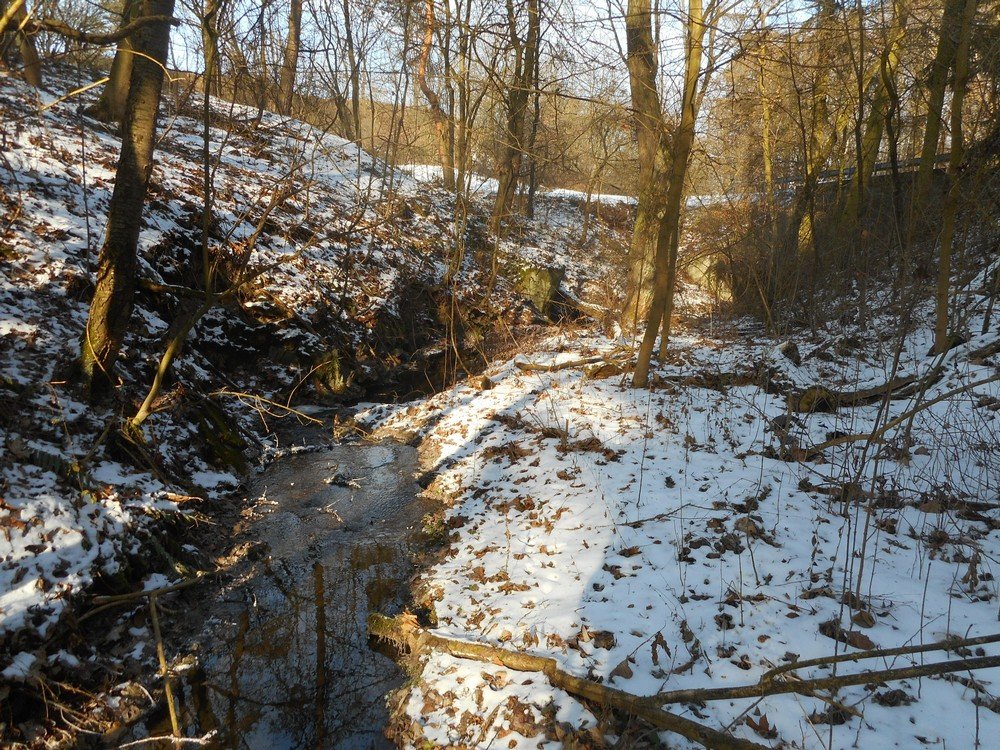 Tok Lipoltické svodnice