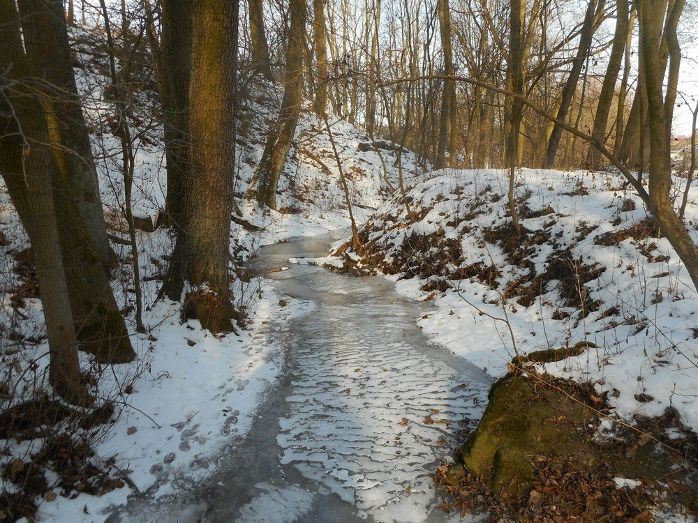 Tok Lipoltické svodnice