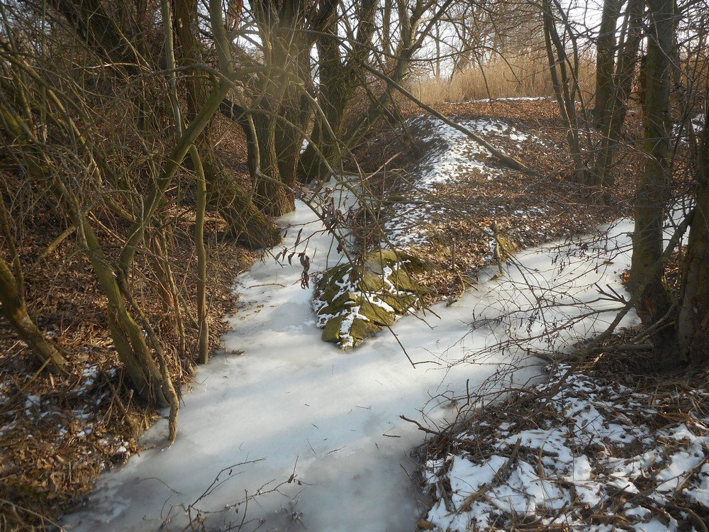 Tok Lipoltické svodnice