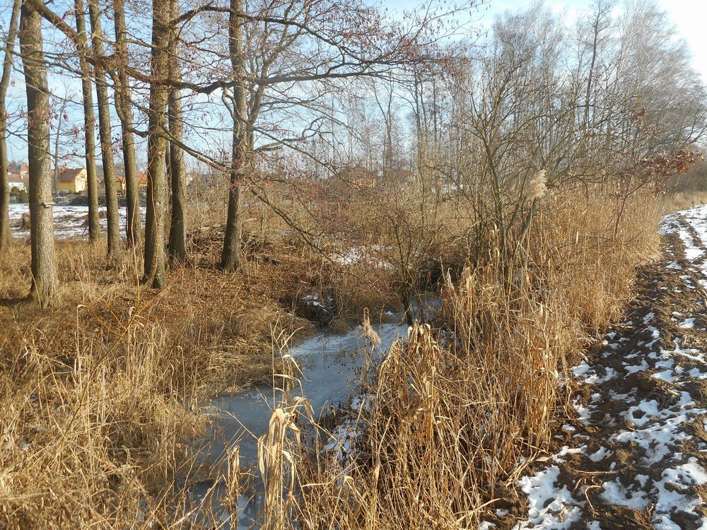 Tok Lipoltické svodnice